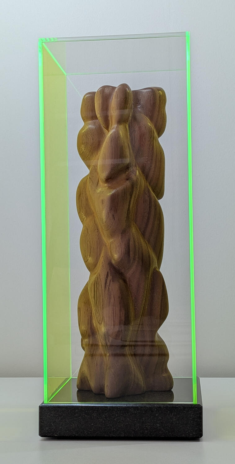 Fluo Yellow Walnut (Gêel-skone Okselnote) De nieuwe, felle blikvanger. Notelaar (Fluo Gele Plexi stolp) | Status: Beschikbaar